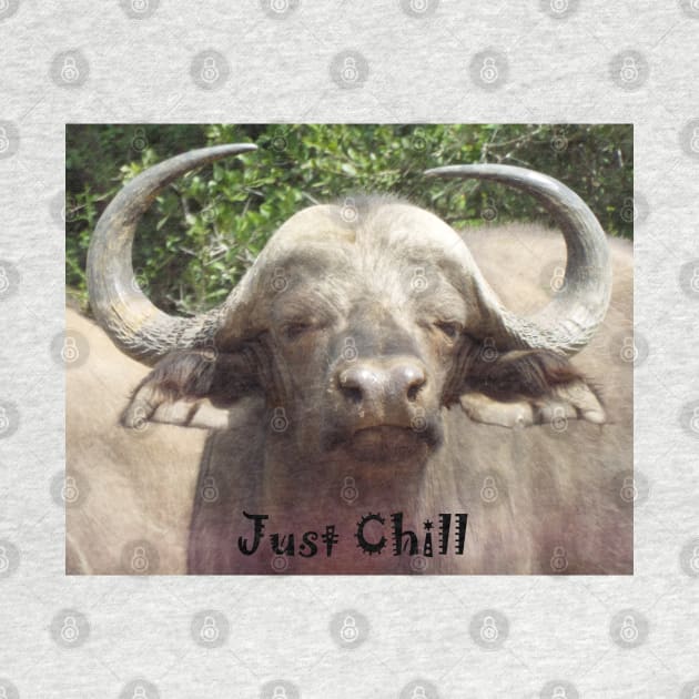 Just Chill Cool Water Buffalo by HutzcraftDesigns